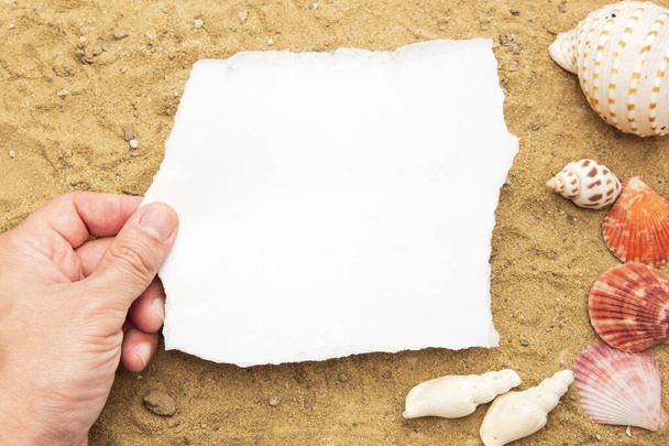 Concept hand met een blanco wit papier op een bruine zand en schelp achtergrond, blanco papier voor uw brief. - Foto, afbeelding