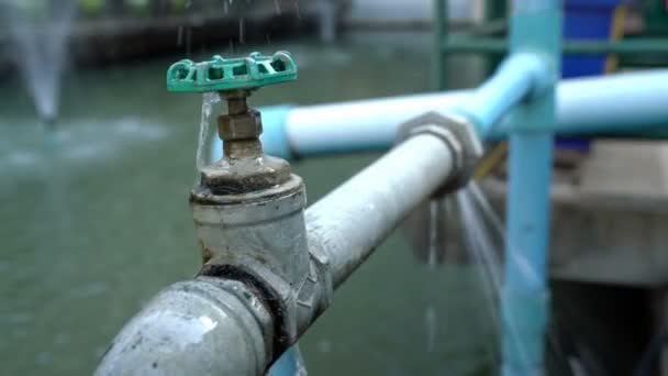 Утечка воды из клапана и синих труб - Кадры, видео