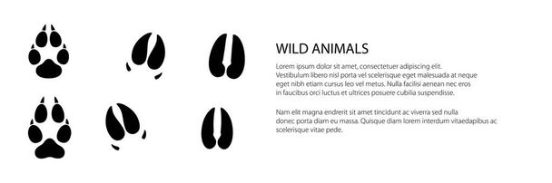 Bannière des traces d'animaux forestiers - Vecteur, image