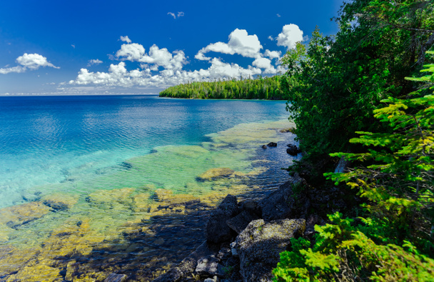 meer in het bos, mooi uitzicht op het natuurlijke landschap en het terrein van Bruce Peninsula National Park, Georgian Bay, Lake Huron, rustig, turquoise helder water, zonnige grote dag  - Foto, afbeelding