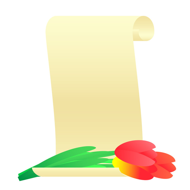 Bouquet of tulips and paper scroll. - Vector, afbeelding