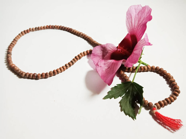 Guirlande de basilic avec fleur isolée sur fond blanc pour le marketing et l'image de marque fond de but promotionnel. - Photo, image