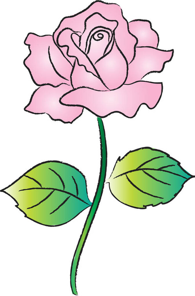 rose flower vector illustration - Vektori, kuva