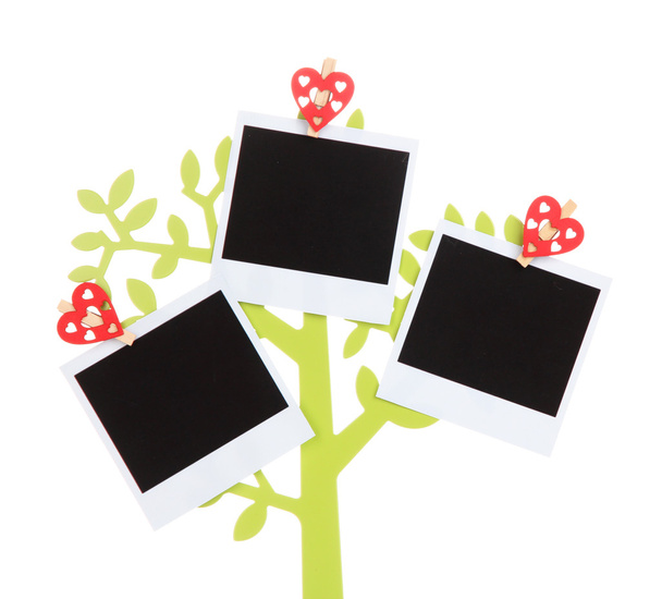 Holder in form of tree with instant photo cards isolated on white - Photo, Image