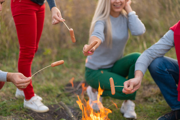 travel, tourism, hike, picnic and people concept - group of happy friends frying sausages on campfire. - Φωτογραφία, εικόνα