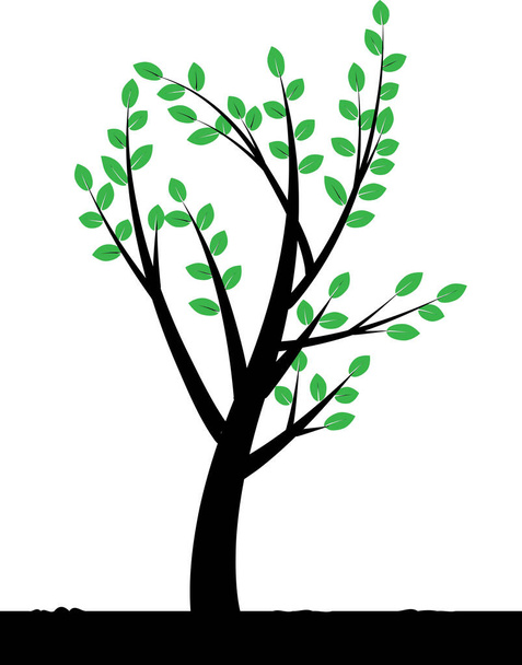 tree silhouette on white background - Vector, Image