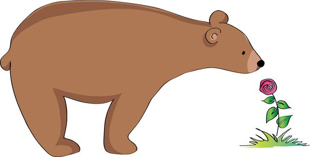 bear vector illustration background - Vektör, Görsel