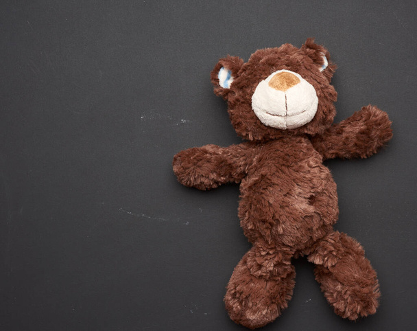 brown teddy bear on a black chalk board background, back to school, copy space - 写真・画像