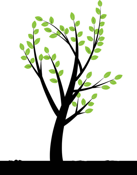colorful flat tree with leaves isolated on white background, vector, illustration - Vetor, Imagem