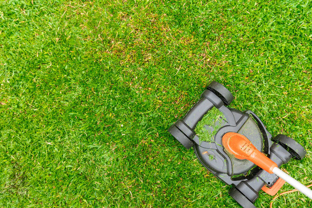 Electric Lawn Mower Grass Cutting on home garden - Photo, Image