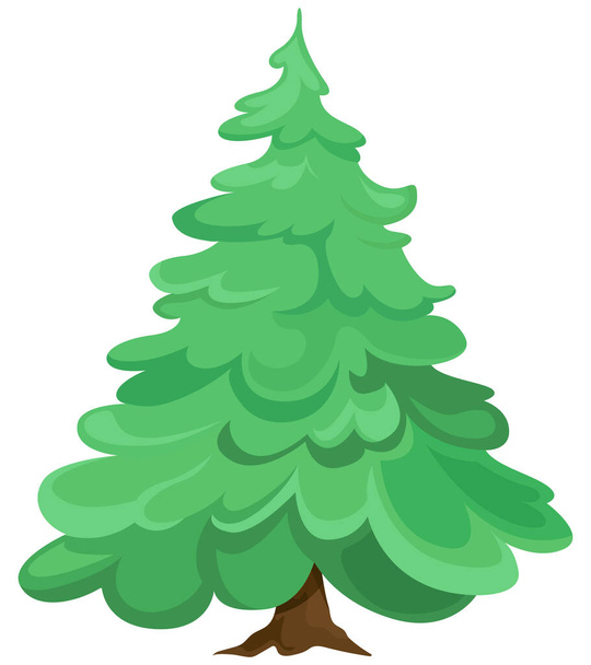 Conifer tree isolated on white background. - Vector, Image