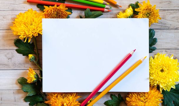 Chrysantemum φθινοπωρινά μολύβια μπουκέτο αντίγραφο χώρο blanc χαρτί χρωματιστό πολύχρωμο mock up - Φωτογραφία, εικόνα