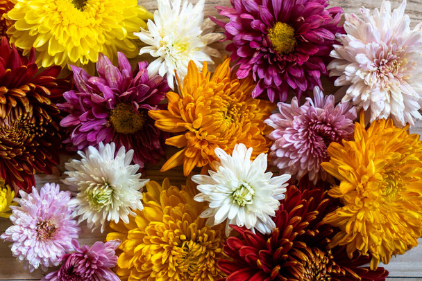 Chryzantéma Chrysantemum podzimní kytice láska srdce barevné - Fotografie, Obrázek