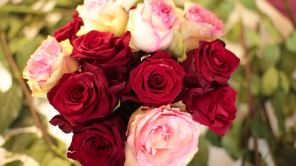 recueillir un bouquet de vraies fleurs de roses rouges - Séquence, vidéo