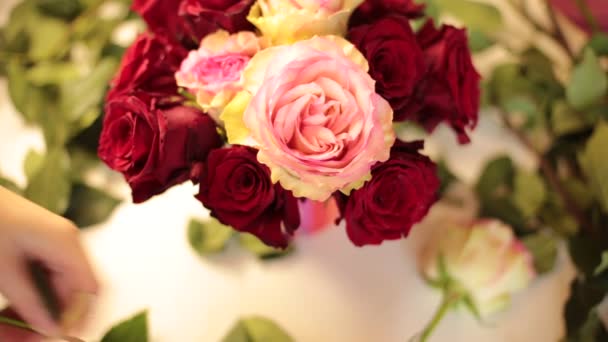 собрать букет настоящих цветов из красных роз - Кадры, видео