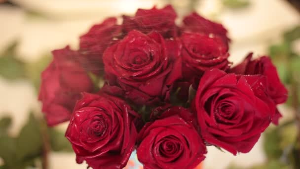 recoger un ramo de flores reales de rosas rojas - Metraje, vídeo