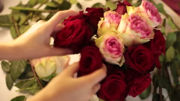 συλλέγουν ένα μπουκέτο από πραγματικά λουλούδια από κόκκινα τριαντάφυλλα - Πλάνα, βίντεο