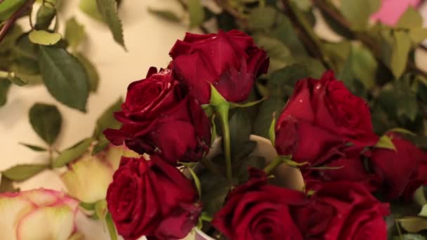 збираємо букет з живих квітів червоних троянд
 - Кадри, відео