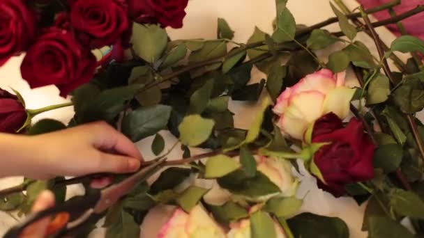 собрать букет настоящих цветов из красных роз - Кадры, видео