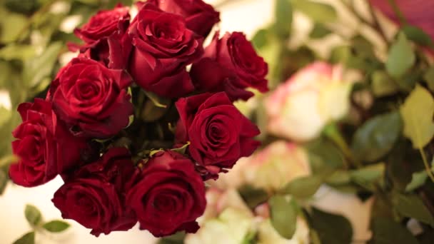 збираємо букет з живих квітів червоних троянд
 - Кадри, відео