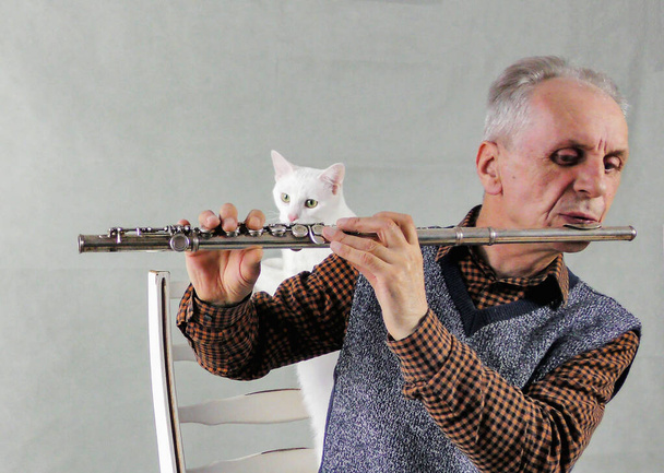 Yaşlı bir adam flüt çalıyor, beyaz kedi de işin içinde. - Fotoğraf, Görsel