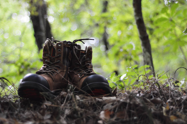 Boots for hanking in the forest - Photo, Image