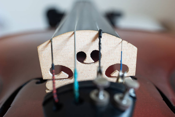 木製バイオリンクローズアップ詳細ショットのブリッジとコードチューナ. - 写真・画像