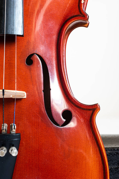 Wooden violin close up detail shot of houseing with holes and cord bridge. - 写真・画像