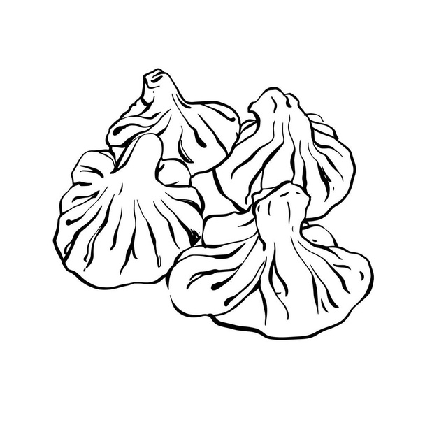 Georgian dumplings Khinkali. Hinkali on white background. Vector drawn illustration. - Vektor, Bild