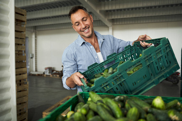 Worker in warehouse sorting cucumbers - 写真・画像