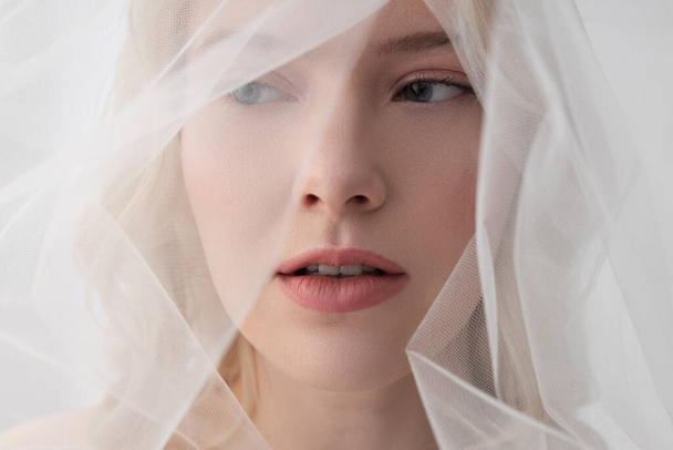 Charming young woman wearing beautiful white veil - Foto, Imagen