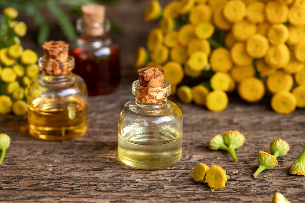 A bottle of essential oil with fresh blooming common tansy, or Tanacetum vulgare plant - Photo, Image