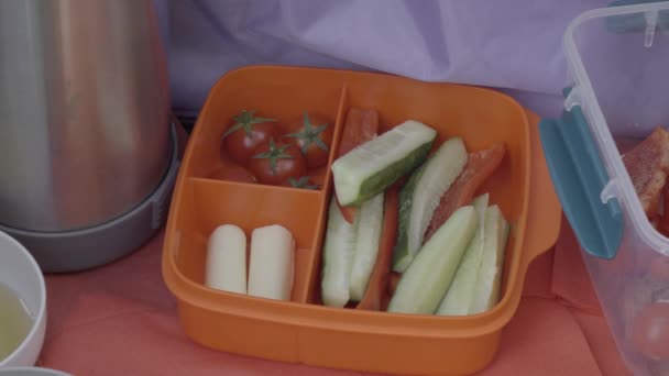 女性の手と男の子の手は、ランチボックスから健康的な野菜の軽食を取ります - 映像、動画