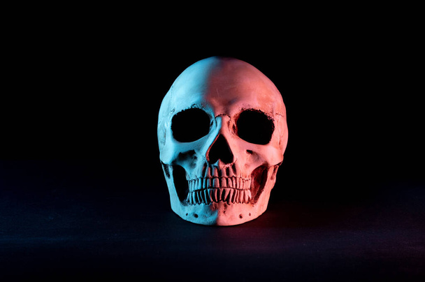 Human skull on a black background. Skull with blue and red illumination. - Фото, изображение