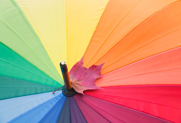 Rainbow coloured umbrella and autumn maple leaf. Selective focus. View with copy space. - Photo, Image