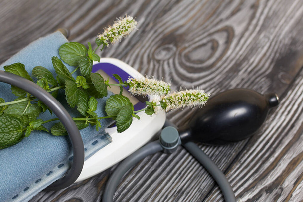 Blood pressure monitor and several branches of mint blossoms. Diagnostics and treatment of cardiovascular diseases. - Foto, Imagen
