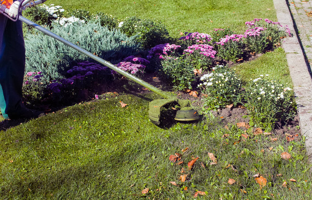 Herbstliche Arbeiten im Park. Der Gärtner mäht das Gras vor dem Winter. - Foto, Bild
