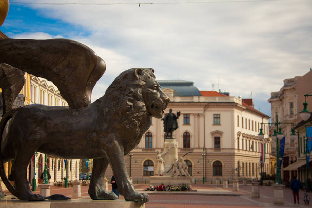 Lion fountain, Klaus squar, Szeged, Hungary - Photo, Image
