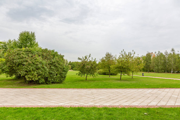 Un camino para que los peatones caminen en un moderno parque verde de la ciudad durante el día de verano - Foto, imagen