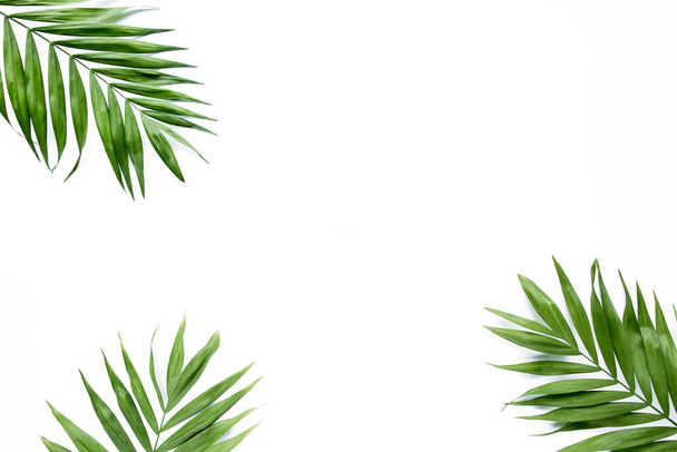 green palm leaf branches on white background. flat lay, top view - Fotoğraf, Görsel