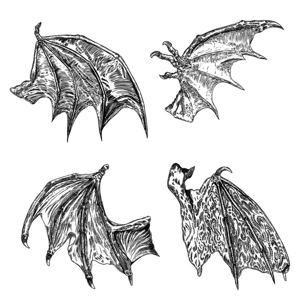 Set of hand drawn vintage etched woodcut fallen angel or vampire detailed wings. Dragon or gargoyle wings. Heraldic wings for tattoo and mascot design. Isolated sketch collection. Vector. - Vector, imagen