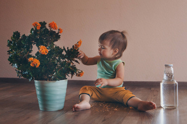a small child is sitting on the floor next to a large flower in a pot and buttle with water. girl rips off a plant - Foto, Bild
