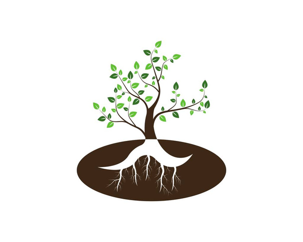 Icono de árbol concepto de una ilustración vectorial estilizada - Vector, Imagen
