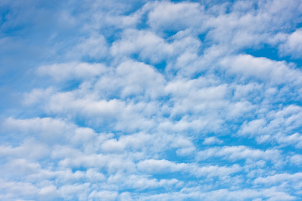 El cielo azul de la mañana
 - Foto, Imagen