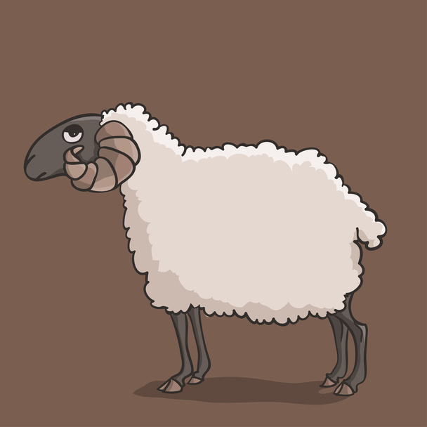 Sheep darkhead - Vector, Image