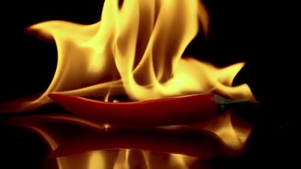 Scharfe rote Chilischote in Flammen - Filmmaterial, Video