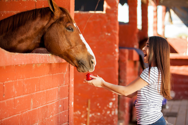 Cute girl feeding horse an apple - Photo, Image