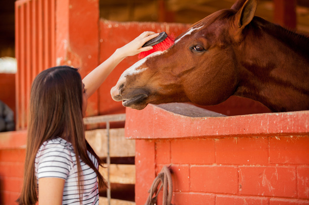 κορίτσι βούρτσισμα τα μαλλιά ενός αλόγου στο οι στάβλοι - Φωτογραφία, εικόνα