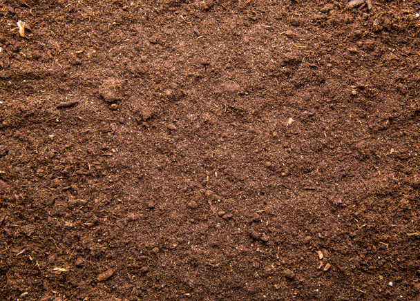 talaj háttér - Fotó, kép