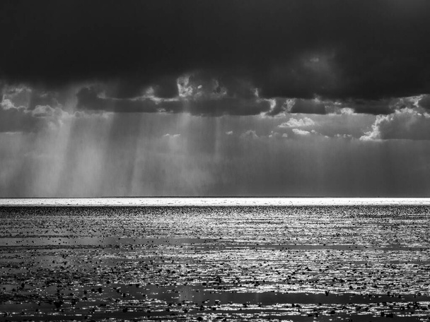 A greyscale shot of the sunrise in the dark cloudy sky over the ocean - Foto, immagini